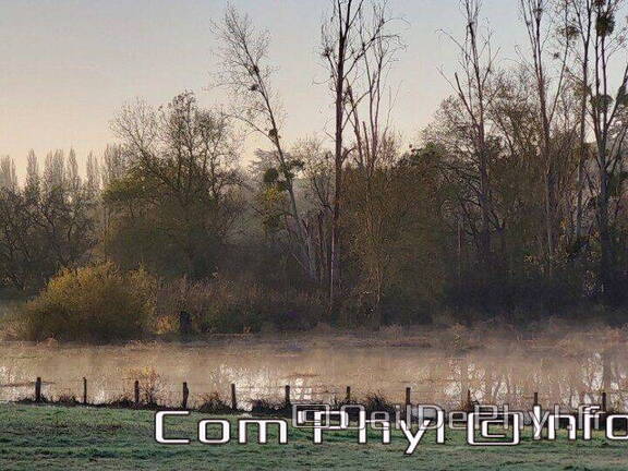 Pdj : 11 novembre 2023