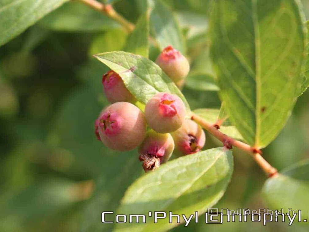 Pdj : 27 mai 2023 - l'été