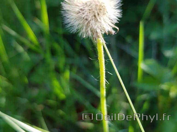 Pdj : 27 mai 2023 - l'été