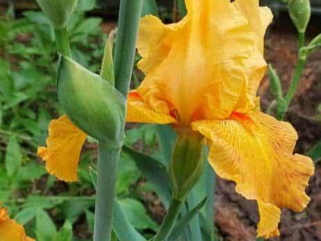 Pdj : 27 mai 2023 - l'été