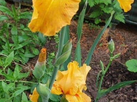 Pdj : 27 mai 2023 - l'été