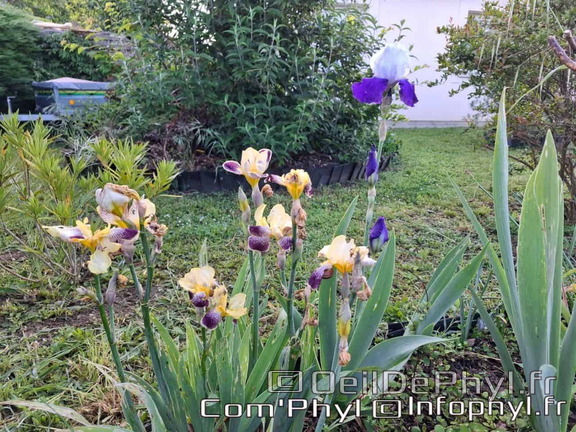 Pdj : 27 mai 2023 - l'été