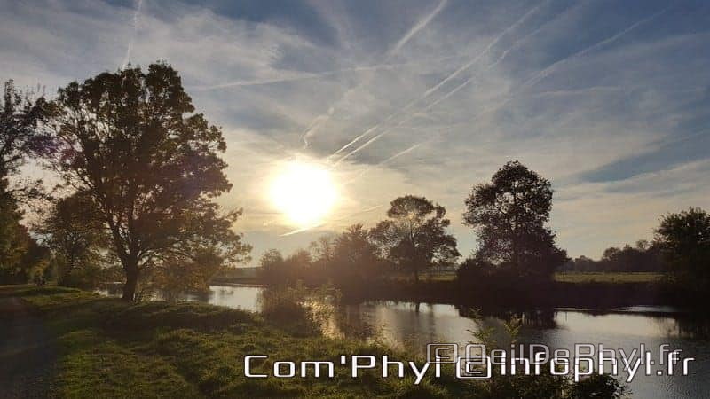 Pdj : 6 novembre 2021 - Corzé