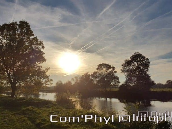 Pdj : 6 novembre 2021 - Corzé