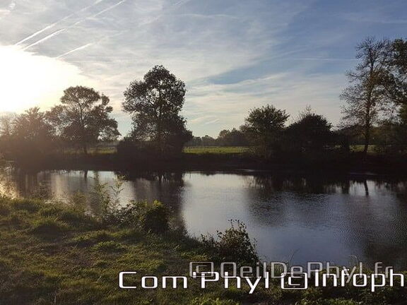 Pdj : 6 novembre 2021 - Corzé