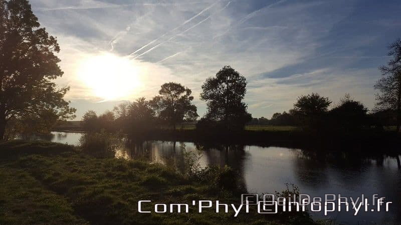 Pdj : 6 novembre 2021 - Corzé