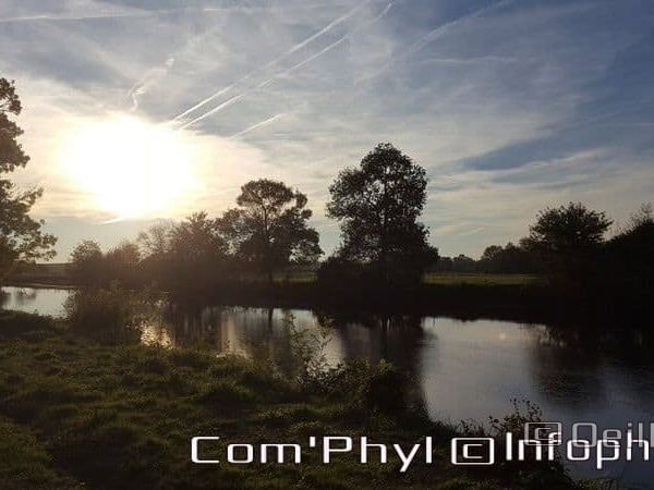 Pdj : 6 novembre 2021 - Corzé