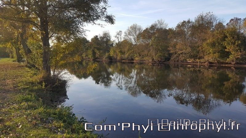 Pdj : 6 novembre 2021 - Corzé