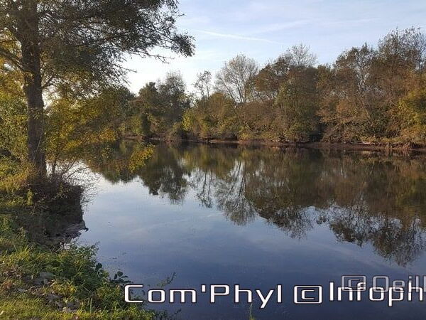 Pdj : 6 novembre 2021 - Corzé