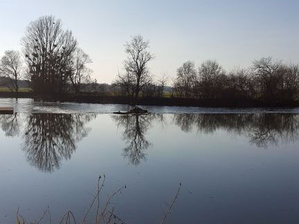 Pdj : 6 novembre 2021 - Corzé