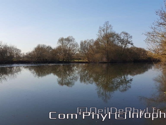 Pdj : 6 novembre 2021 - Corzé