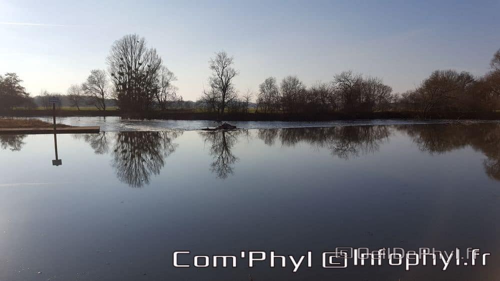 Pdj : 6 novembre 2021 - Corzé