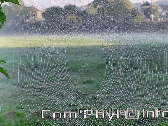 Pdj : 26 septembre 2021 - Rosée