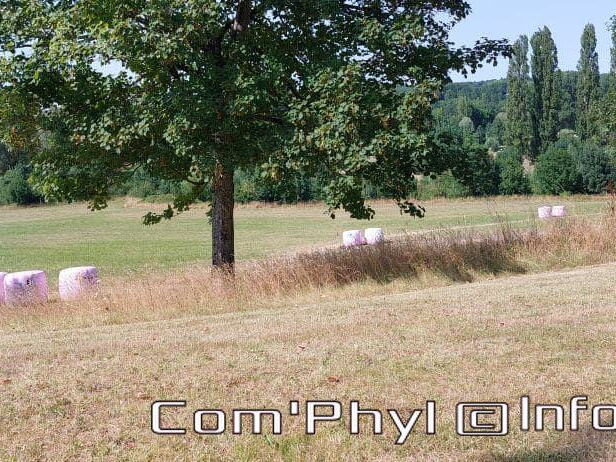 nov-art-2022-botropop-1