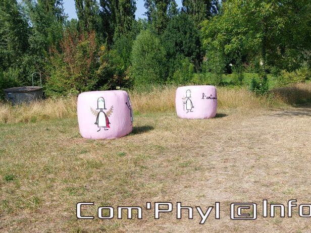 nov-art-2022-botropop-6