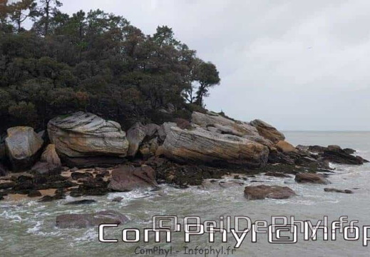 week-end-a-noirmoutier-en-l-ile-janvier-2023-10