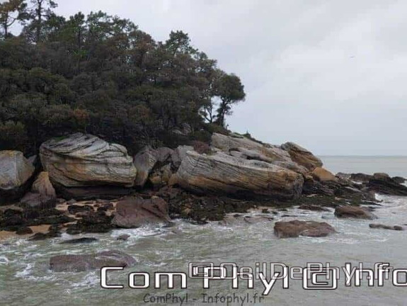 week-end-a-noirmoutier-en-l-ile-janvier-2023-10