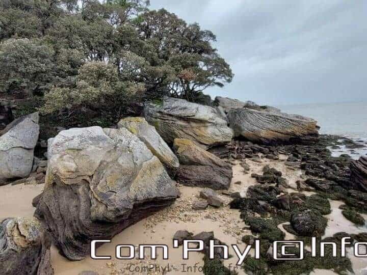 week-end-a-noirmoutier-en-l-ile-janvier-2023-11