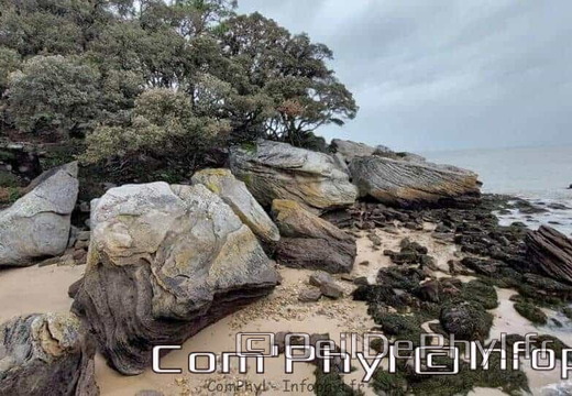 week-end-a-noirmoutier-en-l-ile-janvier-2023-11