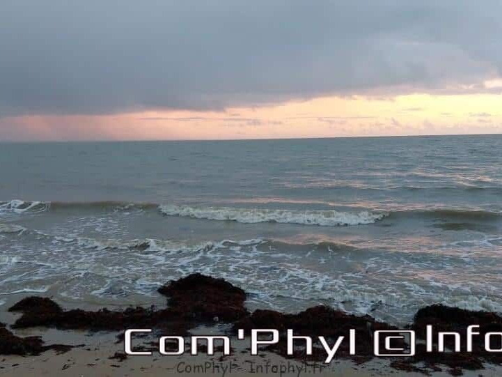 week-end-a-noirmoutier-en-l-ile-janvier-2023-14