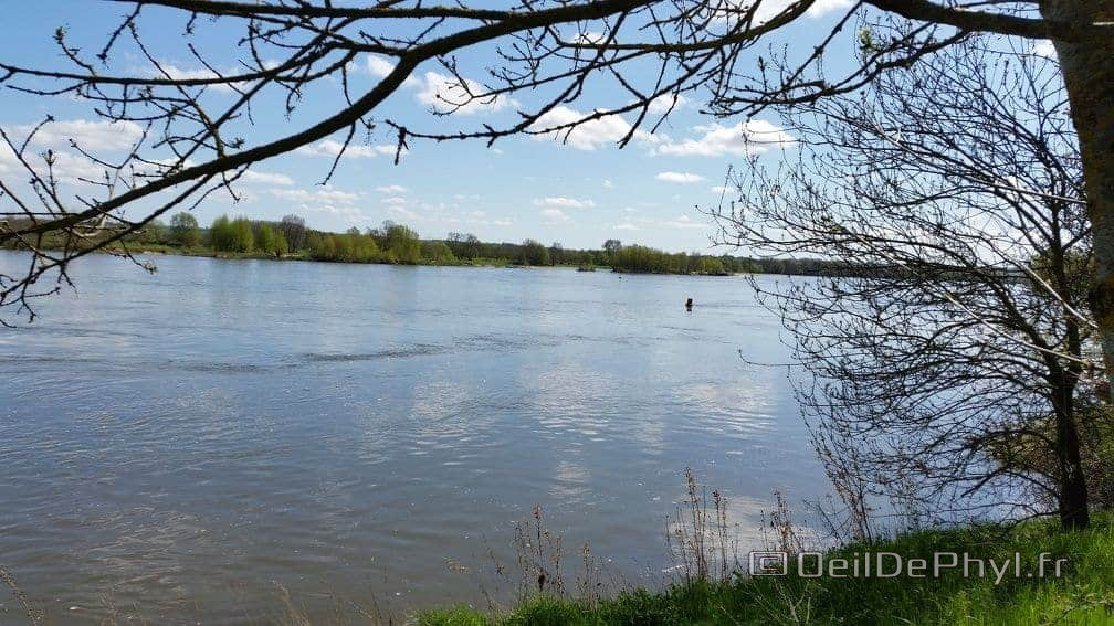 Bouchemaine La Pointe - Rando