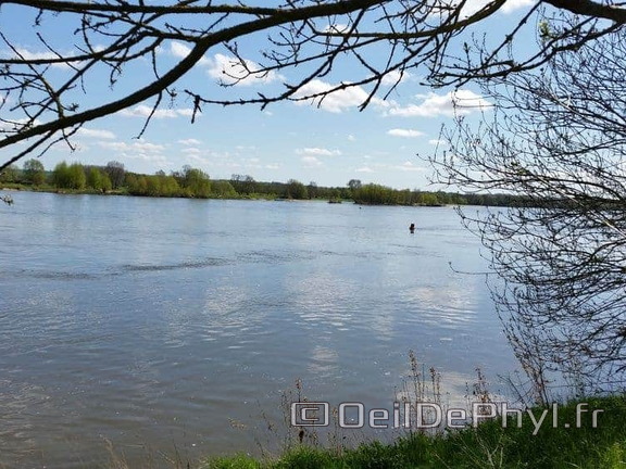 Bouchemaine La Pointe - Rando