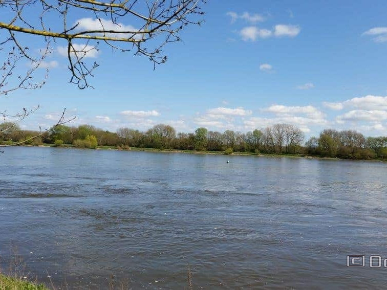 Bouchemaine La Pointe - Rando