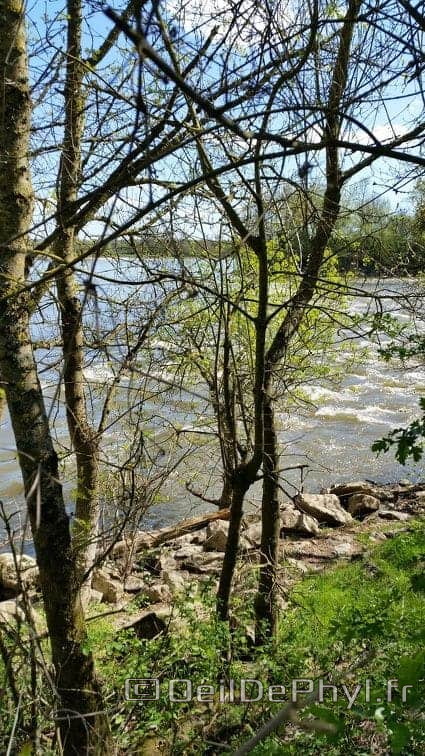 Bouchemaine La Pointe - Rando