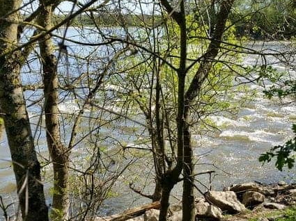 Bouchemaine La Pointe - Rando