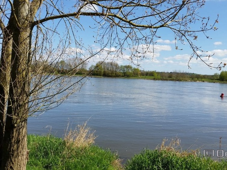 Bouchemaine La Pointe - Rando