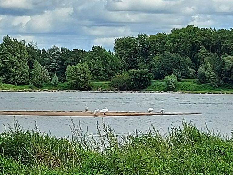 LaPointeBouchemaine-Rando-20210808 154006-Odp-10