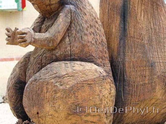 Écureuil - La Lande-Chasles