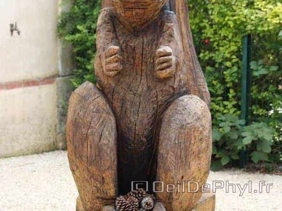 Écureuil - La Lande-Chasles