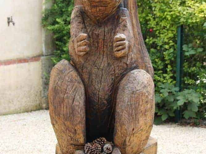 Écureuil - La Lande-Chasles